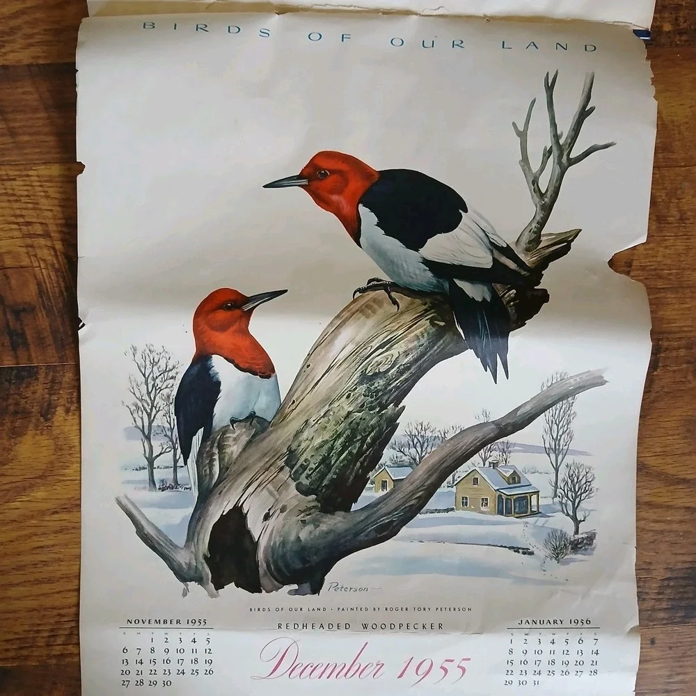 Vtg 1955 Birds Of Our Land Advertising Calendar Morrell Pride Meats Recipe READ